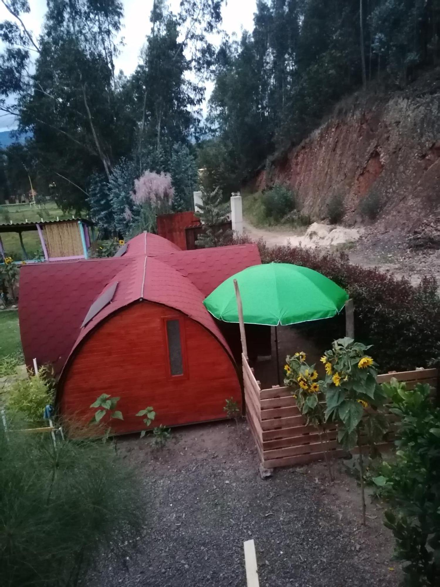 El Sendero Del Caracol 5p